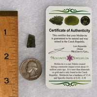 Moldavite 1.3 grams #1698-Moldavite Life