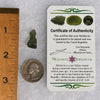 Moldavite 1.3 grams #1727-Moldavite Life