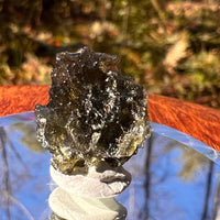 Moldavite 1.3 grams #1762-Moldavite Life
