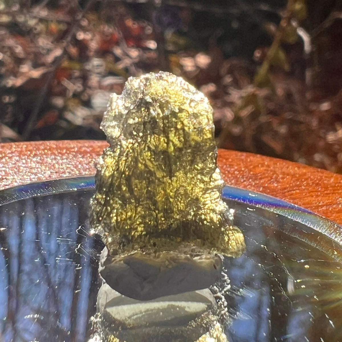 Moldavite 1.3 grams #1770-Moldavite Life