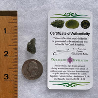 Moldavite 1.3 grams #1784-Moldavite Life