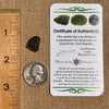 Moldavite 1.3 grams #1819-Moldavite Life