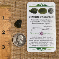 Moldavite 1.3 grams #1819-Moldavite Life