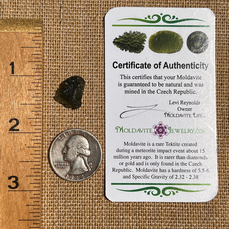 Moldavite 1.3 grams #1819-Moldavite Life