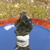 Moldavite 1.3 grams #1828-Moldavite Life