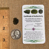 Moldavite 1.3 grams #1828-Moldavite Life