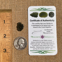 Moldavite 1.3 grams #1828-Moldavite Life