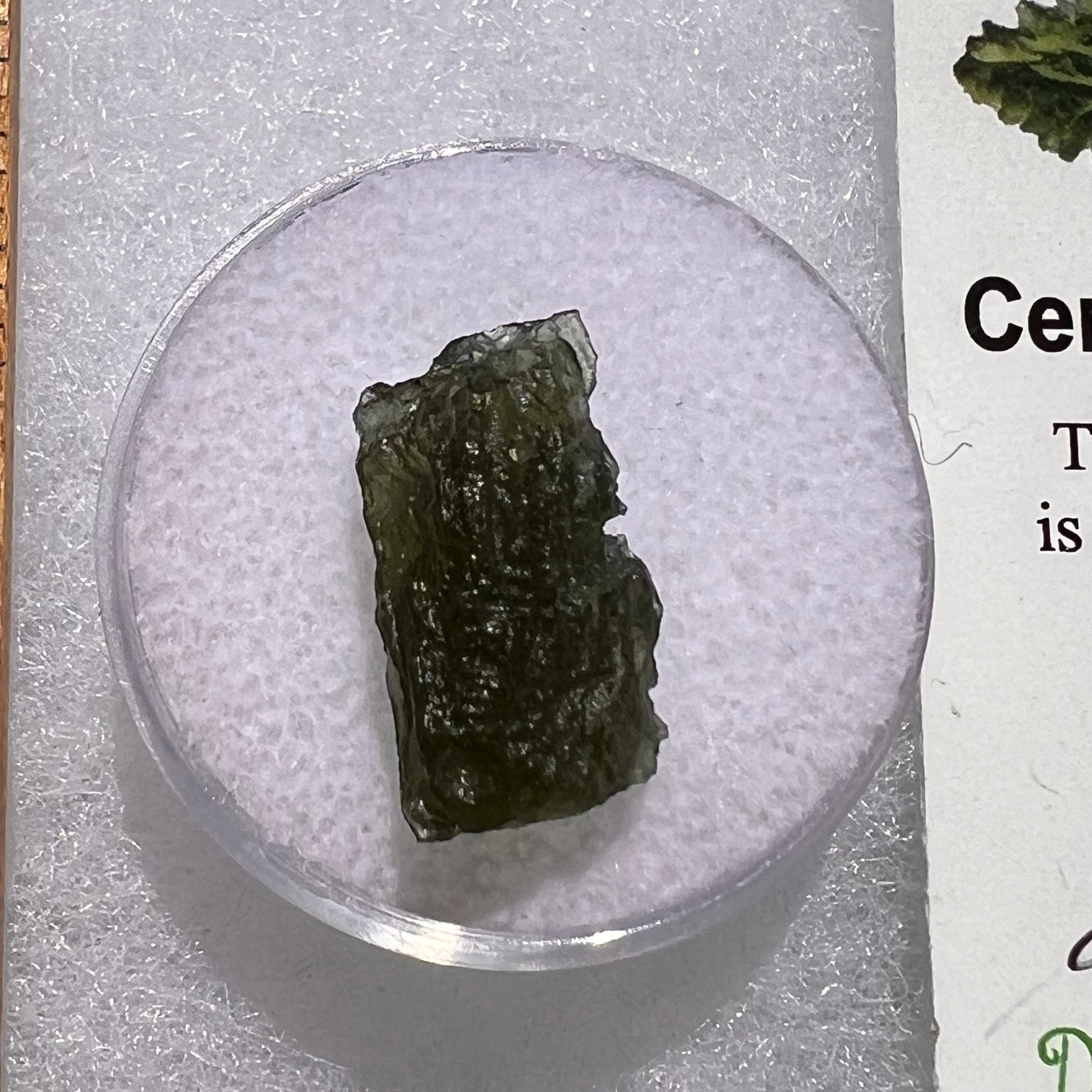 Moldavite 1.3 grams #1847-Moldavite Life