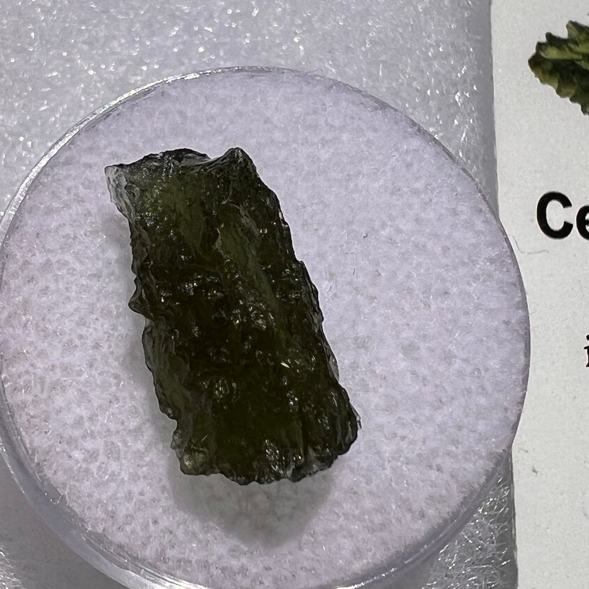 Moldavite 1.3 grams #1847-Moldavite Life