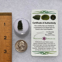 Moldavite 1.3 grams #1847-Moldavite Life