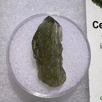 Moldavite 1.3 grams #1858-Moldavite Life