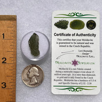 Moldavite 1.3 grams #1858-Moldavite Life