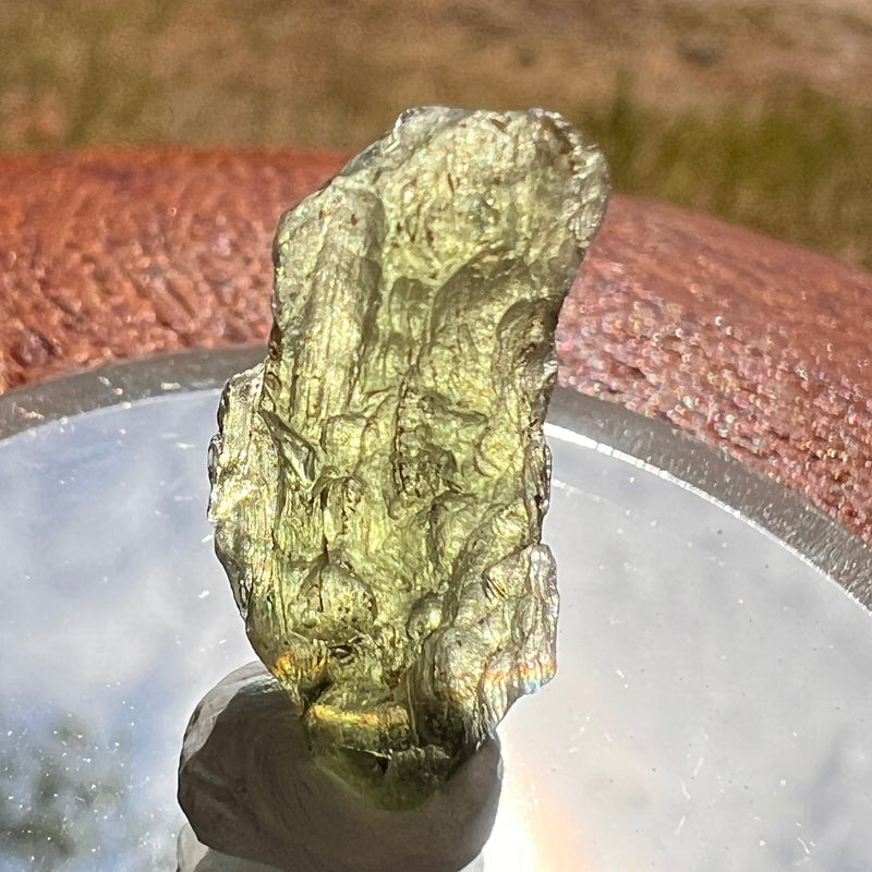 Moldavite 1.3 grams #1858-Moldavite Life