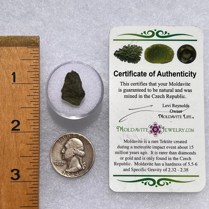 Moldavite 1.3 grams #1859-Moldavite Life