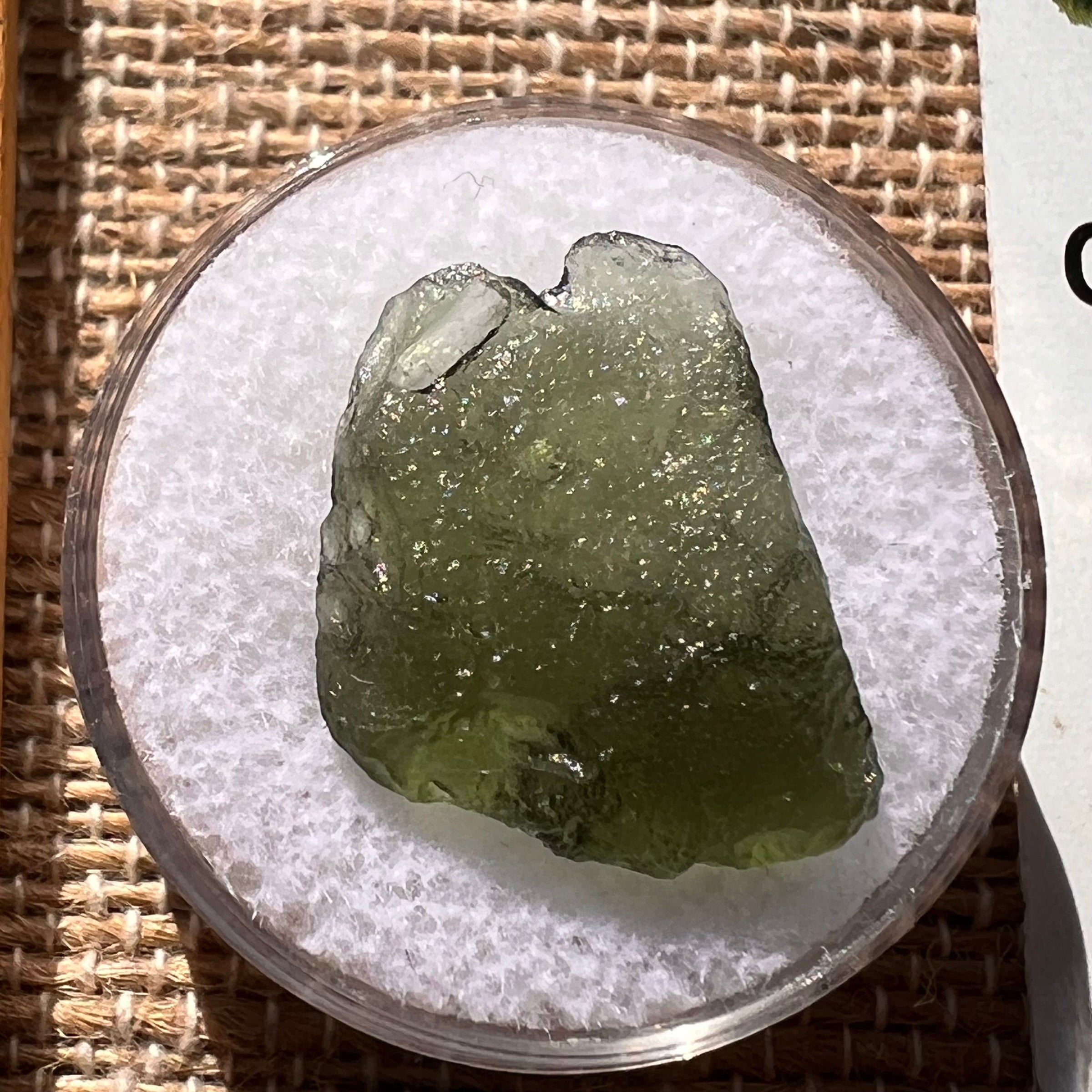 Moldavite 1.3 grams #1902-Moldavite Life