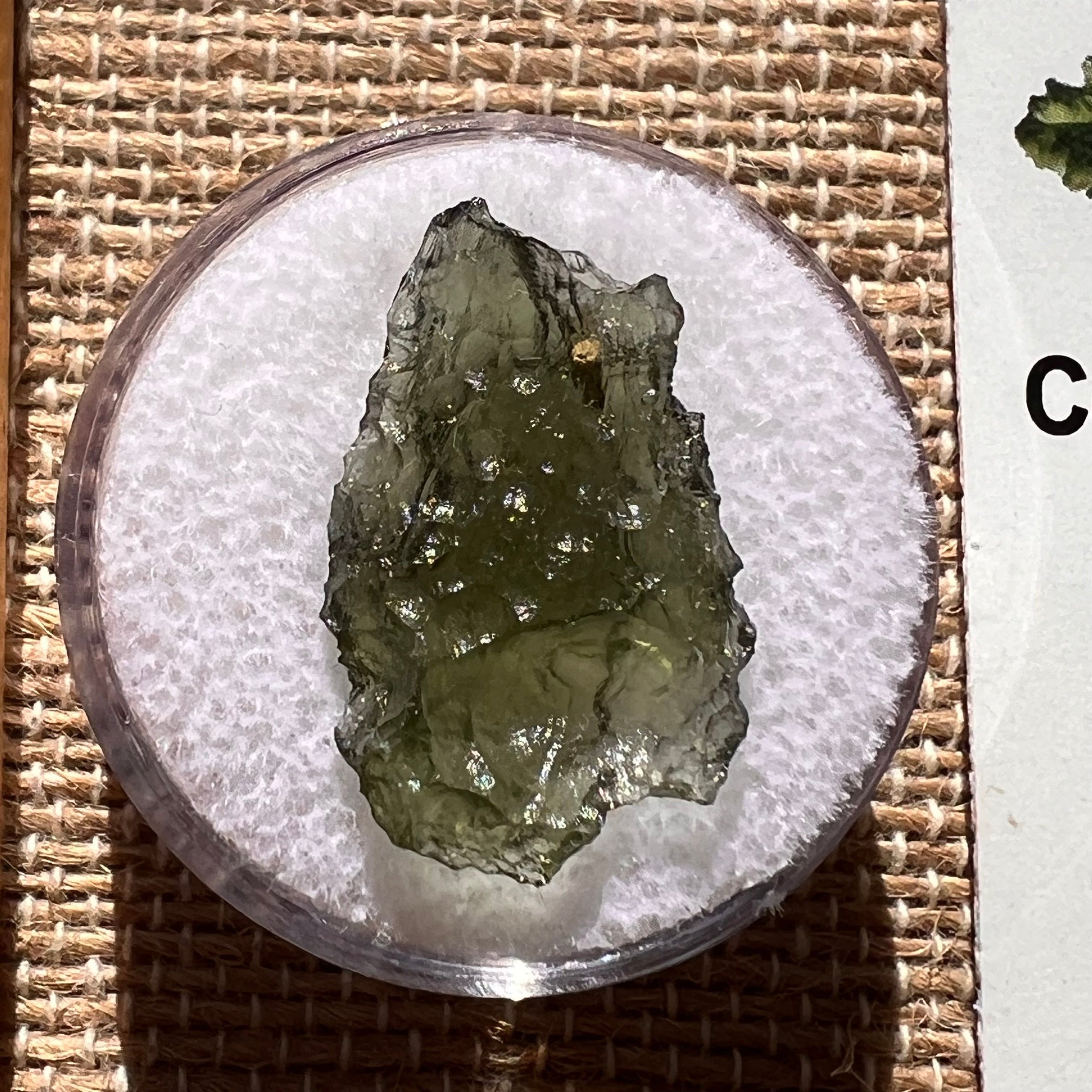 Moldavite 1.3 grams #1923-Moldavite Life