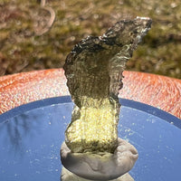 Moldavite 1.3 grams #1992-Moldavite Life