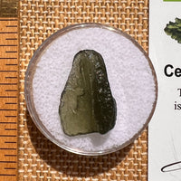 Moldavite 1.3 grams #2067-Moldavite Life