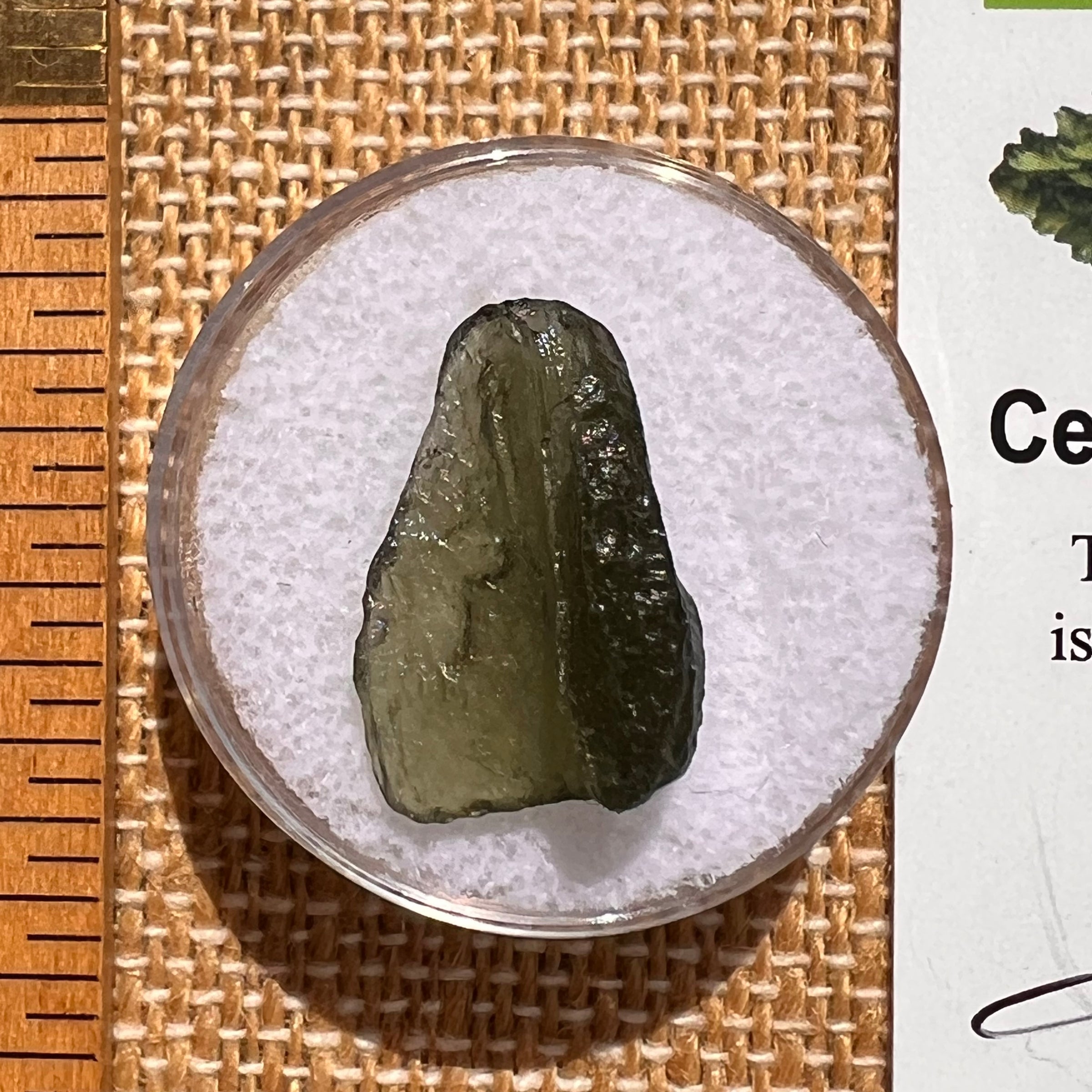 Moldavite 1.3 grams #2067-Moldavite Life