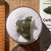 Moldavite 1.3 grams #2115-Moldavite Life