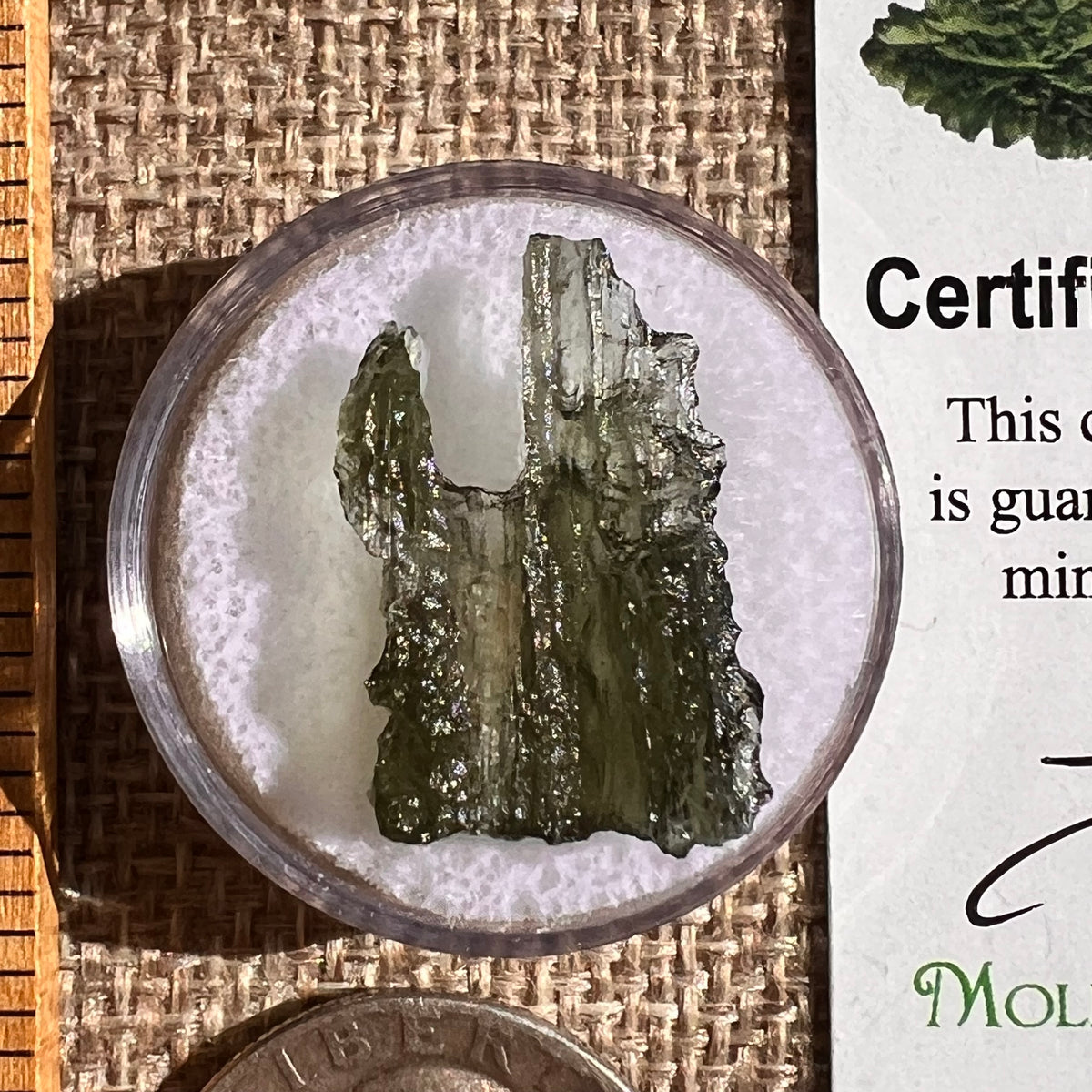 Moldavite 1.3 grams #2342-Moldavite Life