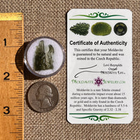 Moldavite 1.3 grams #2342-Moldavite Life