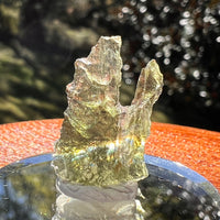 Moldavite 1.3 grams #2342-Moldavite Life