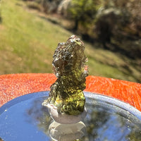 Moldavite 1.3 grams #2359-Moldavite Life