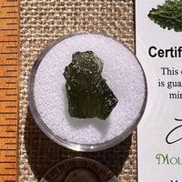 Moldavite 1.3 grams #2359-Moldavite Life