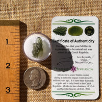 Moldavite 1.4 gram #2282-Moldavite Life