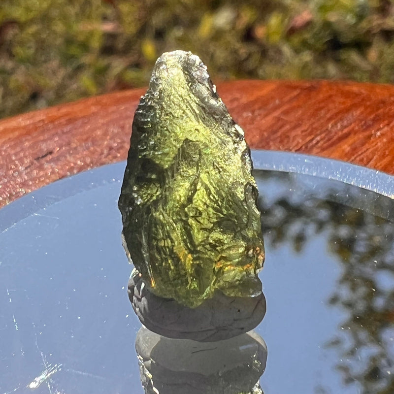 Moldavite 1.4 grams #1719-Moldavite Life