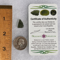 Moldavite 1.4 grams #1719-Moldavite Life