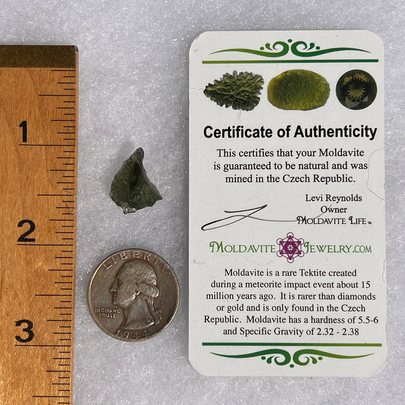 Moldavite 1.4 grams #1721-Moldavite Life