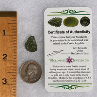 Moldavite 1.4 grams #1723-Moldavite Life