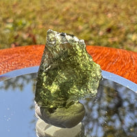 Moldavite 1.4 grams #1723-Moldavite Life