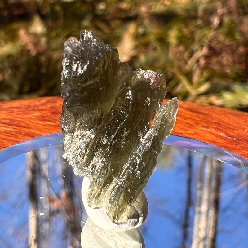 Moldavite 1.4 grams #1755-Moldavite Life