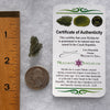 Moldavite 1.4 grams #1755-Moldavite Life