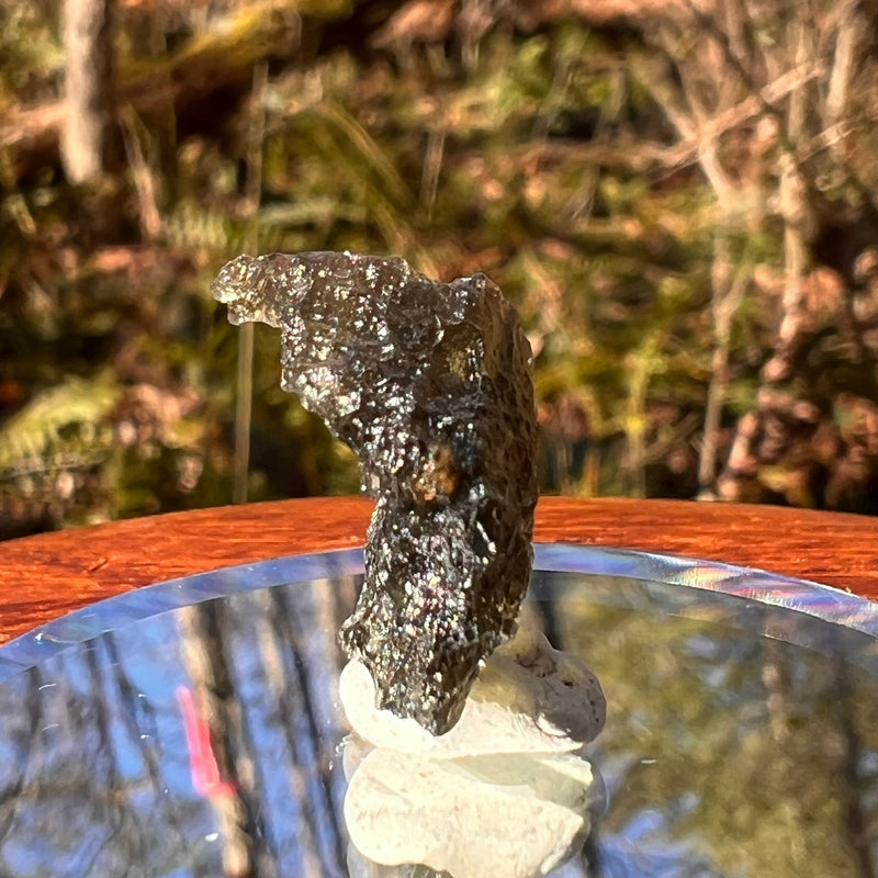 Moldavite 1.4 grams #1766-Moldavite Life