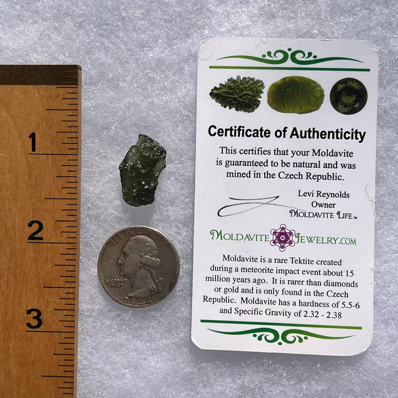 Moldavite 1.4 grams #1801-Moldavite Life