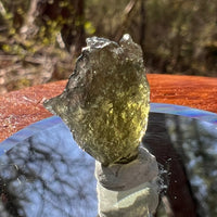 Moldavite 1.4 grams #1811-Moldavite Life
