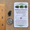 Moldavite 1.4 grams #1823-Moldavite Life