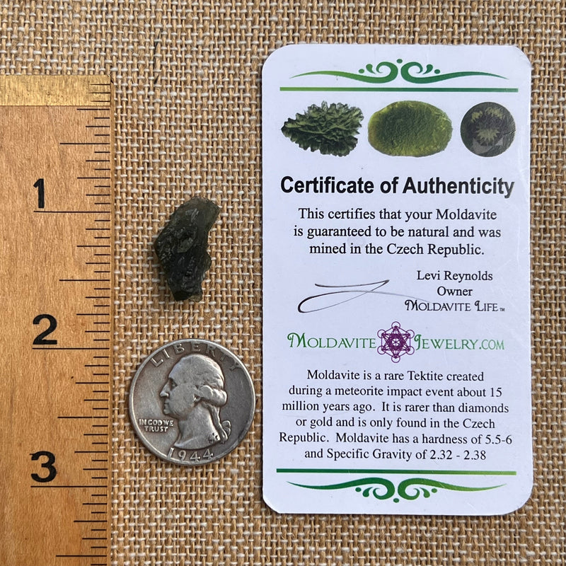 Moldavite 1.4 grams #1823-Moldavite Life