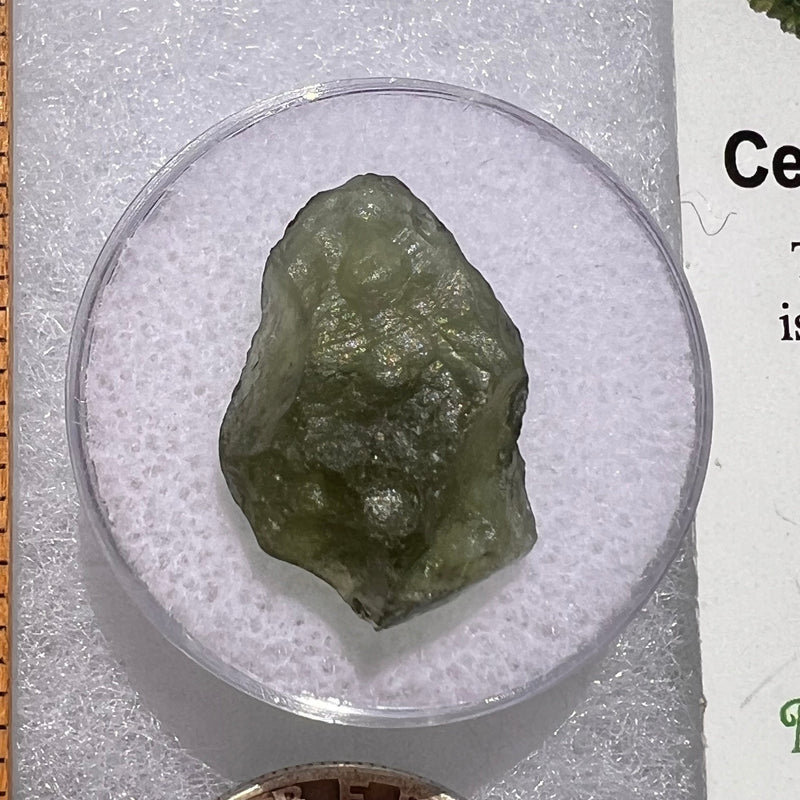 Moldavite 1.4 grams #1842-Moldavite Life