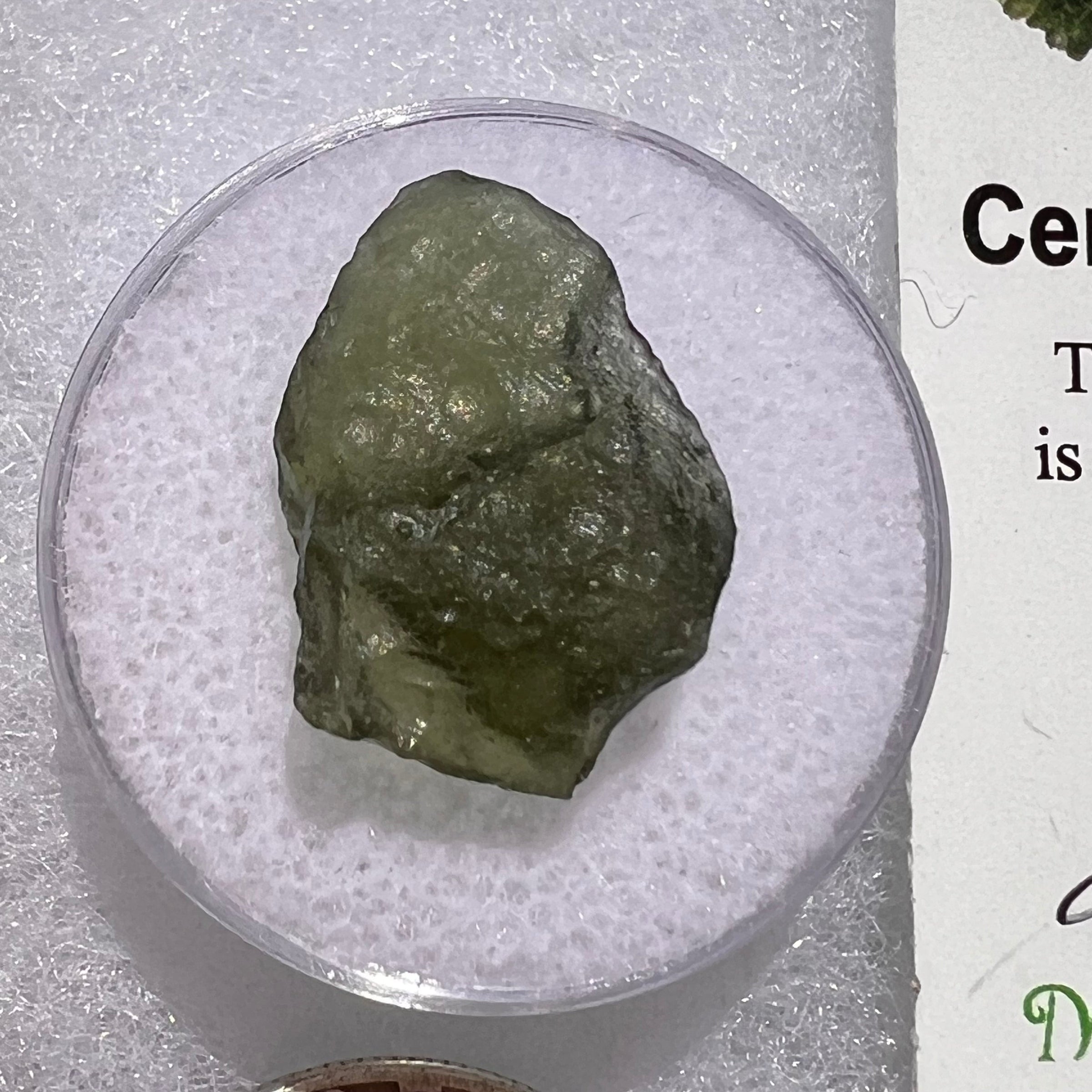 Moldavite 1.4 grams #1842-Moldavite Life