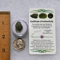 Moldavite 1.4 grams #1842-Moldavite Life