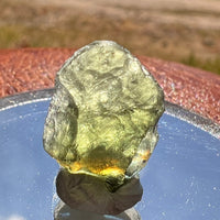 Moldavite 1.4 grams #1842-Moldavite Life