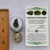 Moldavite 1.4 grams #1843-Moldavite Life