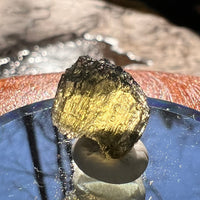 Moldavite 1.4 grams #1907-Moldavite Life