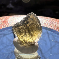 Moldavite 1.4 grams #1907-Moldavite Life
