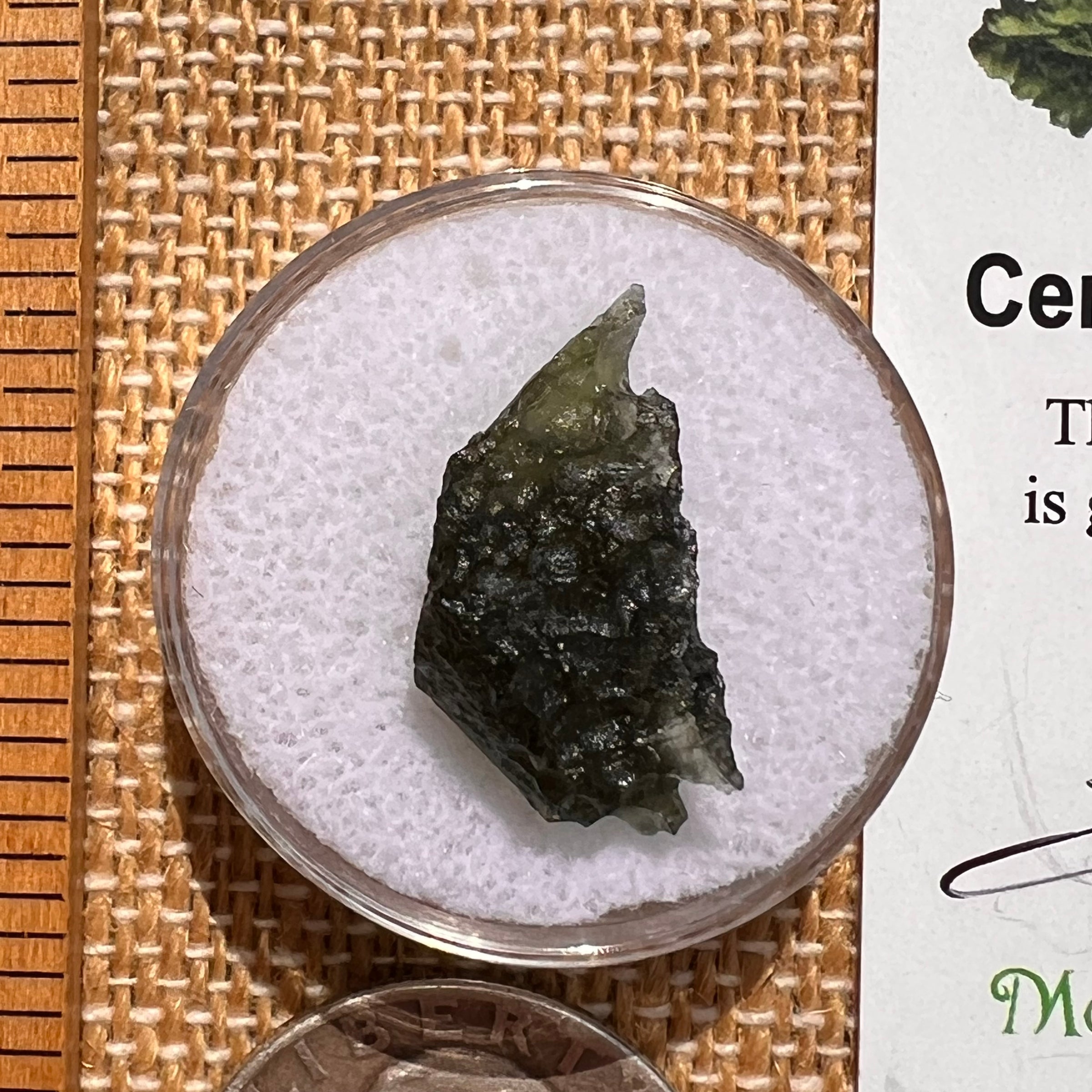 Moldavite 1.4 grams #2068-Moldavite Life